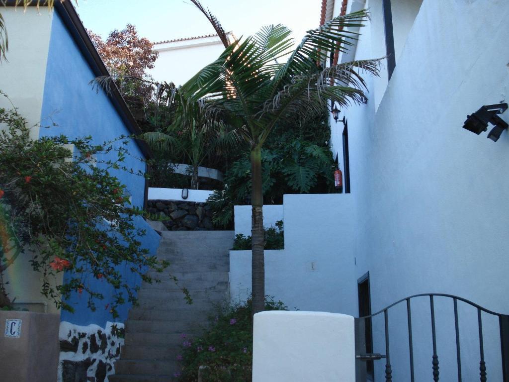 Y Finca Colon